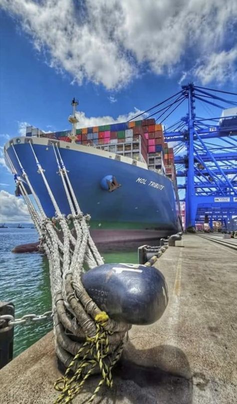 Port containers